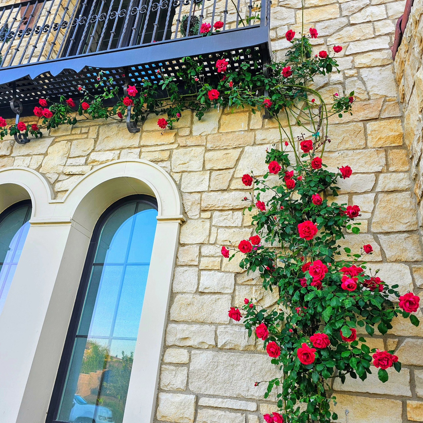 The beauty of spring.